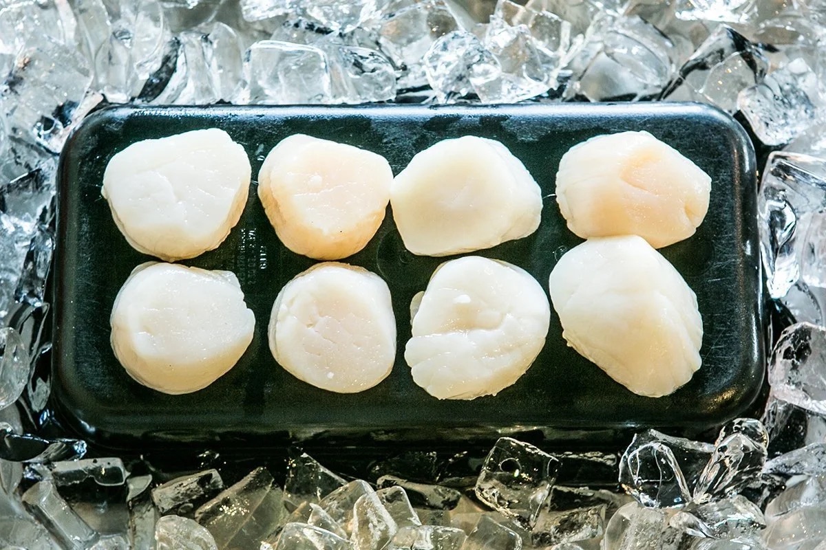 Sea scallops